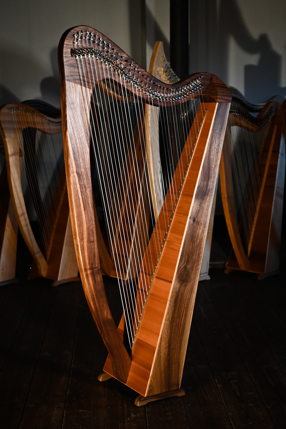 fiona 36 strings moritz harps